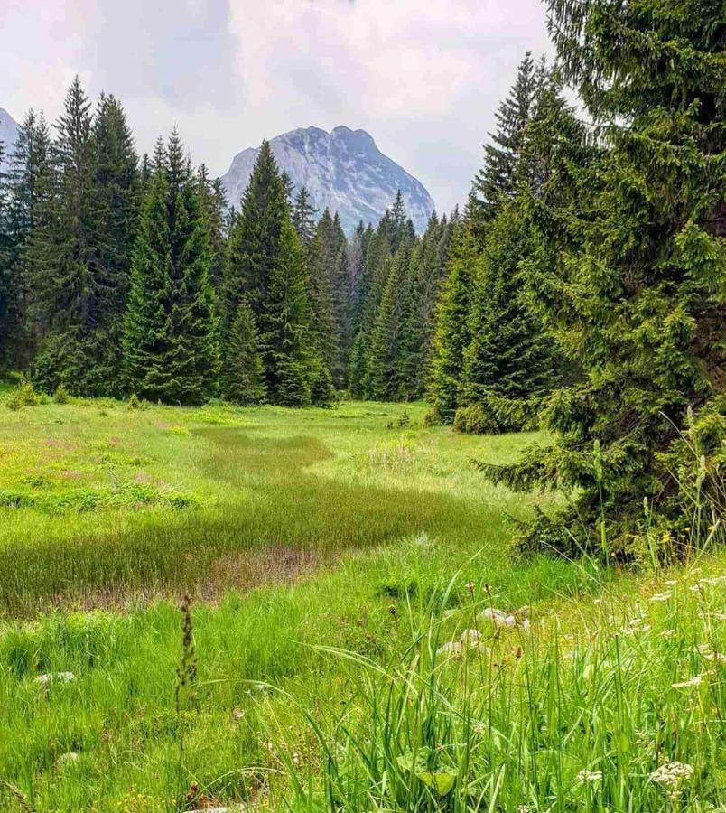 North Forest Жабляк Экстерьер фото