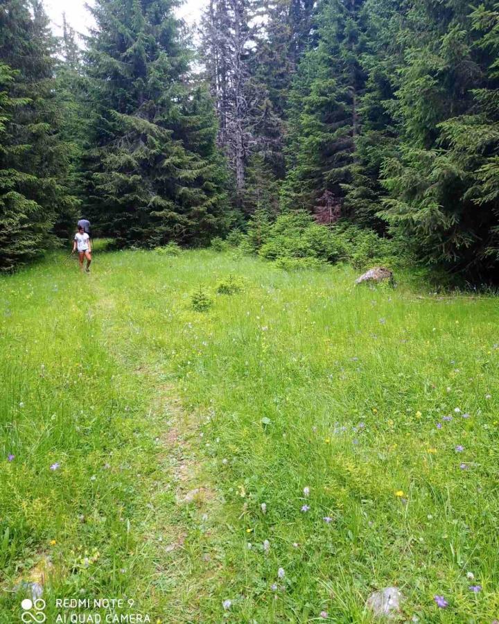 North Forest Жабляк Экстерьер фото
